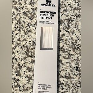 Stanley Straws